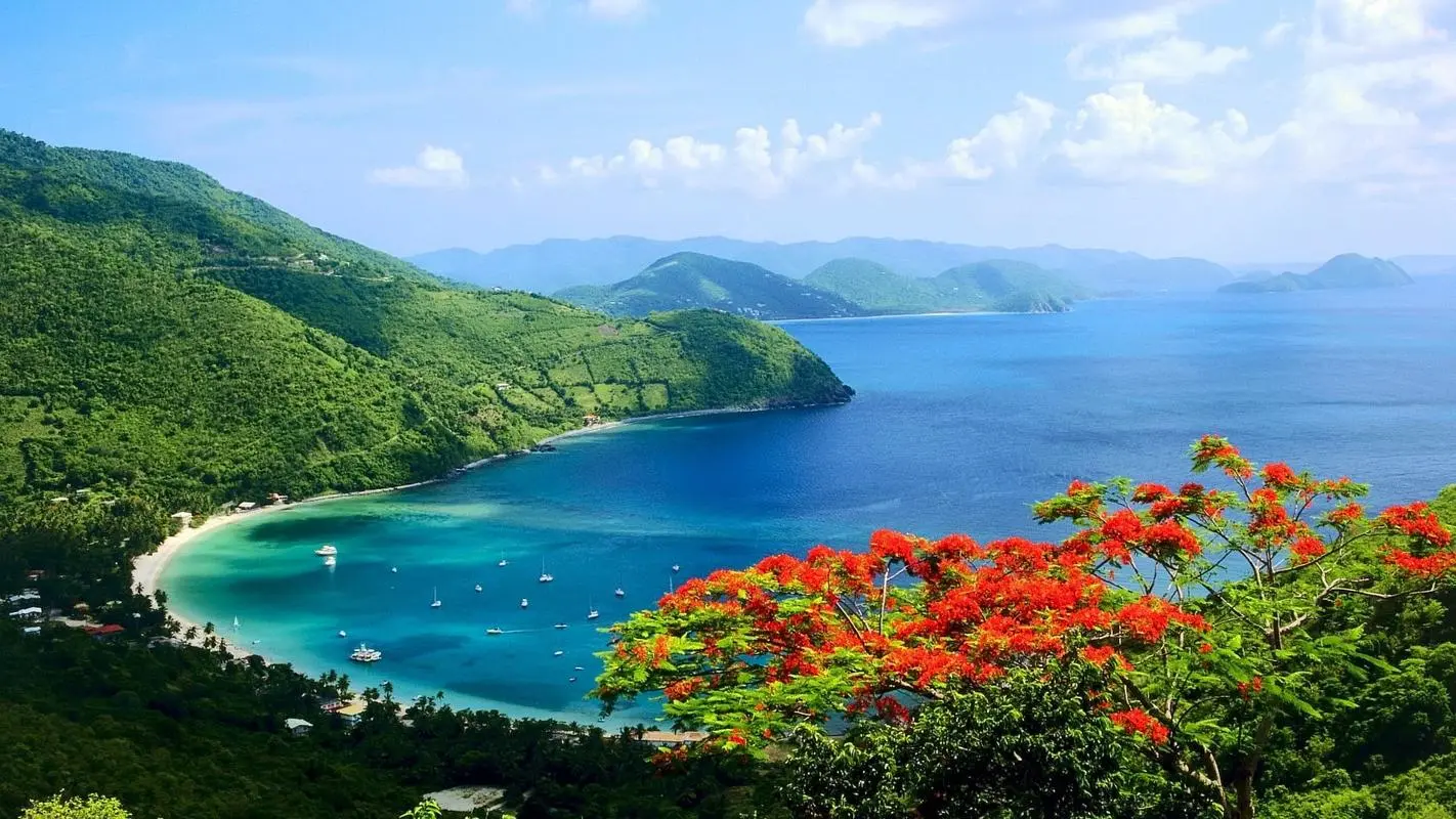 高效智能